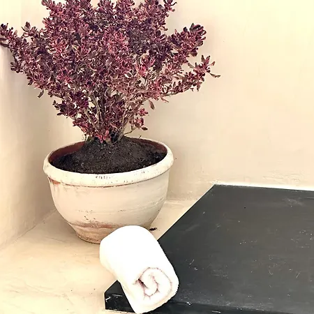 Bed & Breakfast C'anne Marie Palafrugell
